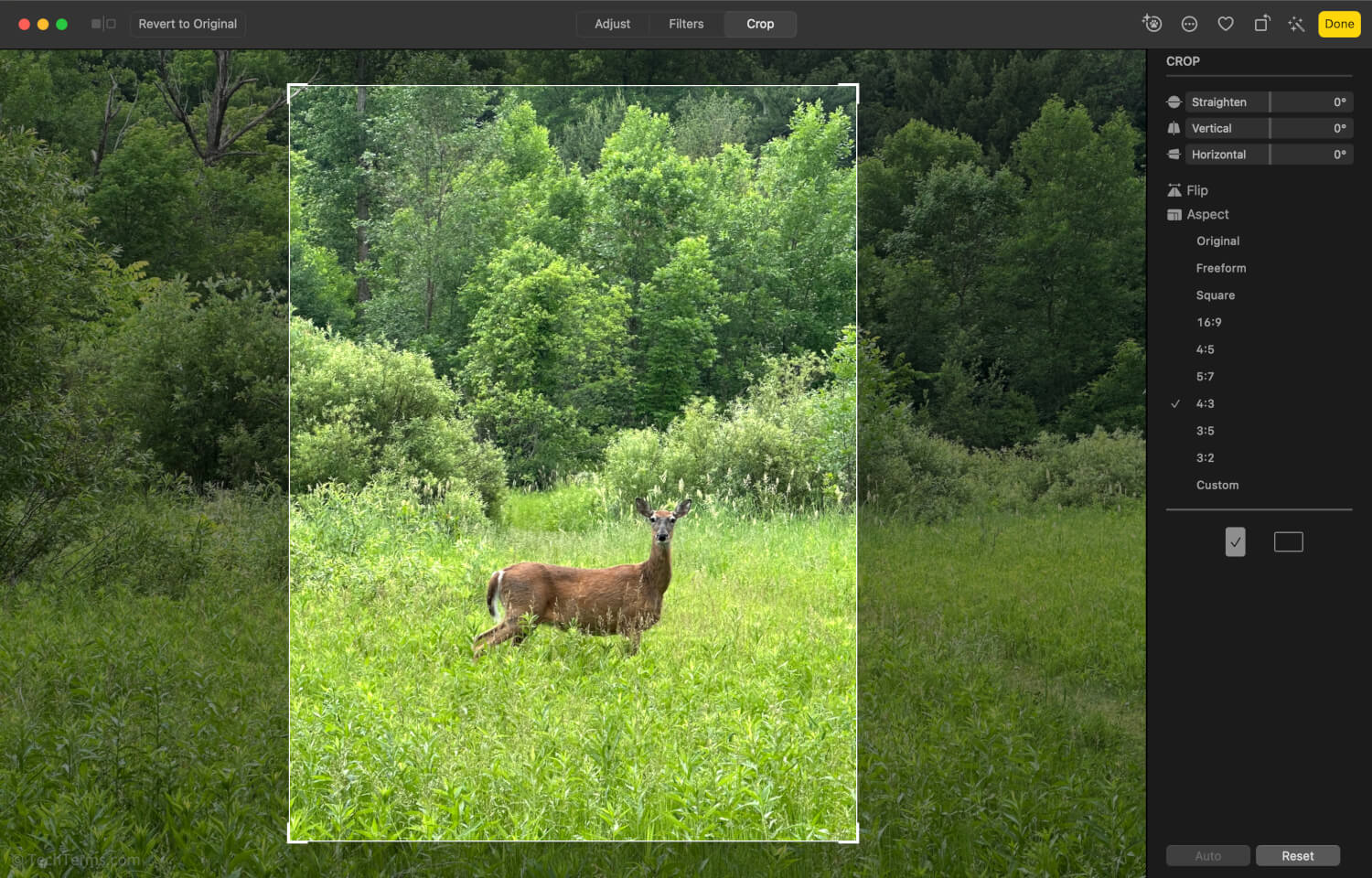 Cropping a photo in Apple Photos to change its aspect ratio and emphasize the subject