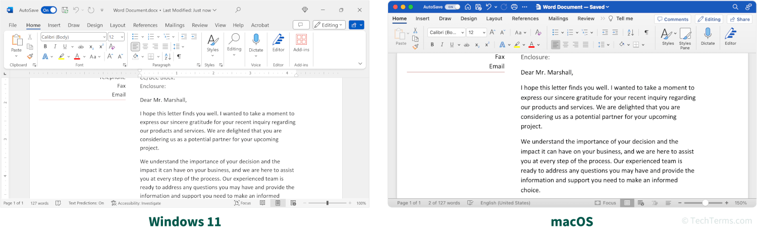 Microsoft Word in Windows 11 and macOS