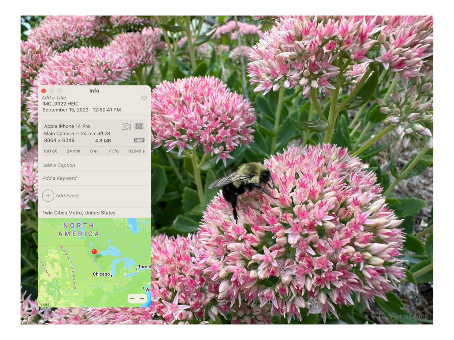 A HEIF image in Apple Photos with its metadata visible in a popup