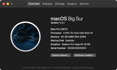 macOS Big Sur "About This Mac" window