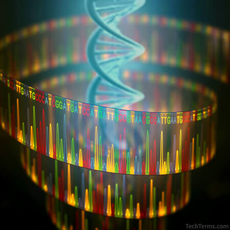 DNA sequencing visualization