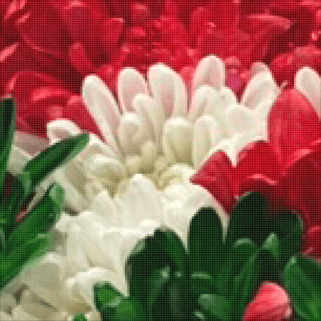 Raster Graphic Definition - What is a raster graphic?