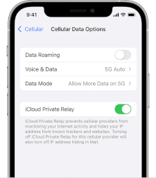 iPhone 5G settings in Cellular Data Options