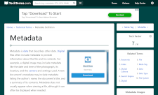 Google AdSense auto-generated banner ads