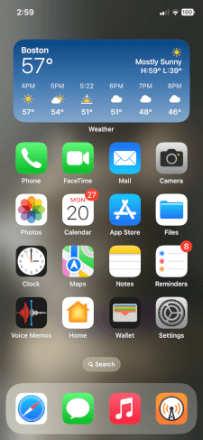The iOS Home Screen