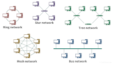 Several common network topology designs