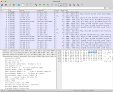 Network data packets captured using Wireshark