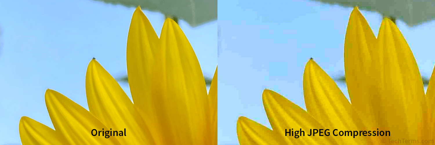 A highly-compressed JPEG (right), showing the loss of fine details and blocky artifacts in regions of high contrast