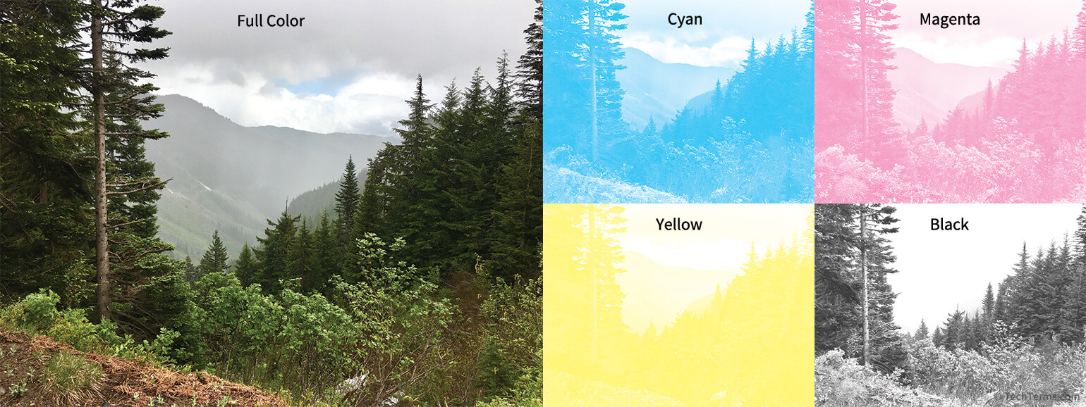 A color photograph split into cyan, magenta, yellow, and black channels
