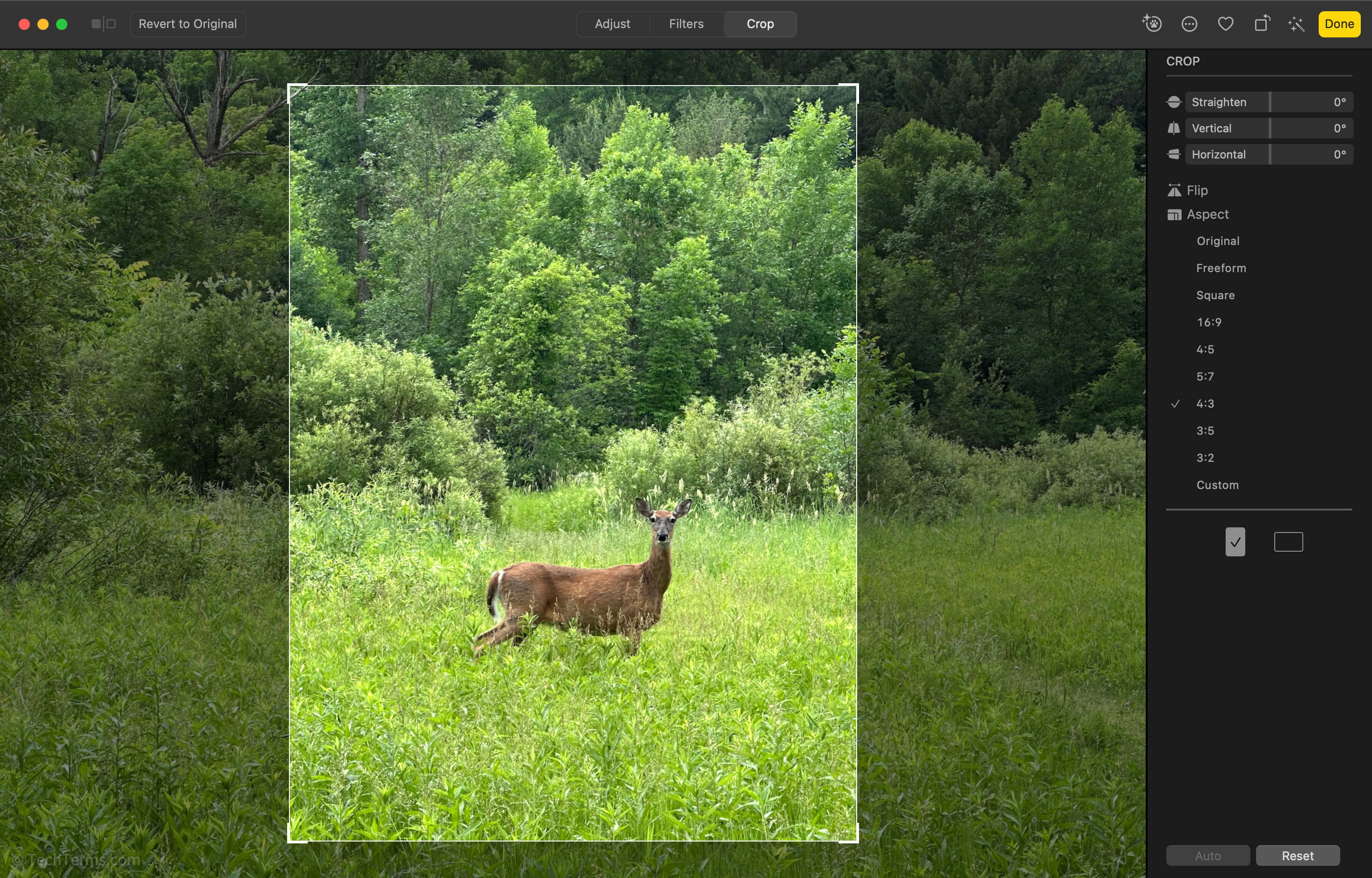 Crop Definition What Does Cropping An Image Mean 