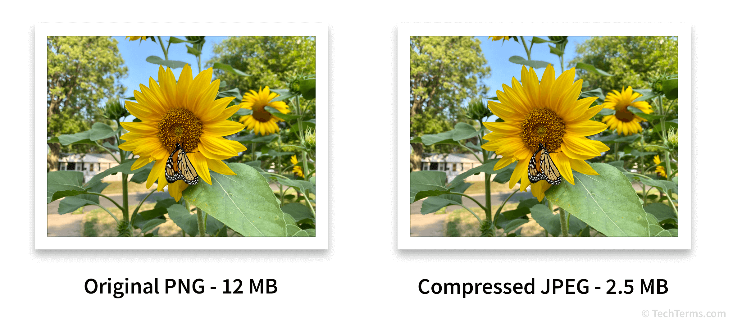 lossy-definition-what-is-lossy-media-compression